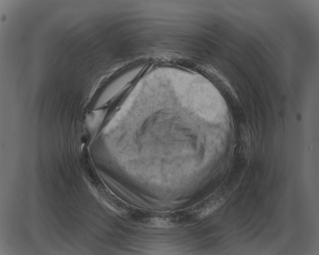 X0000087400496200705181336