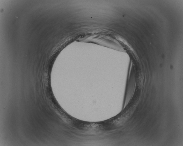 X0000087400497200705181336