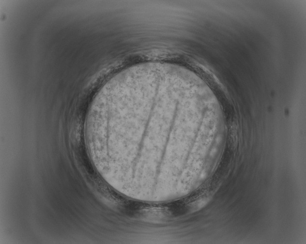 X0000087400499200705181336