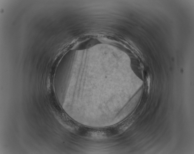 X0000087400500200705181336