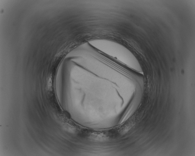 X0000087400502200705181336