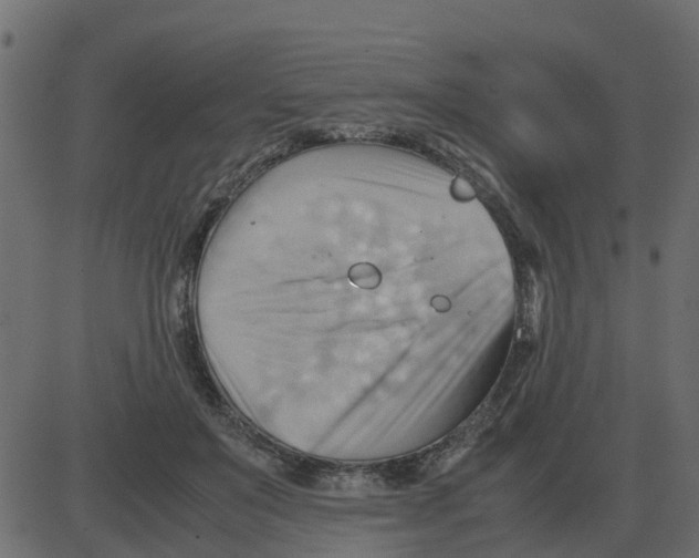 X0000087400503200705181336