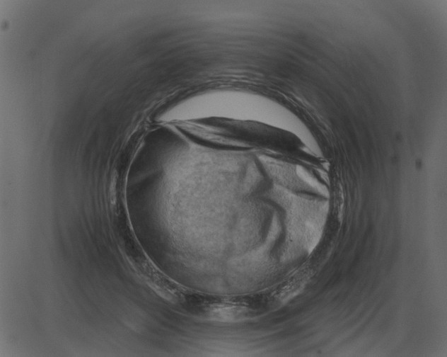 X0000087400504200705181336