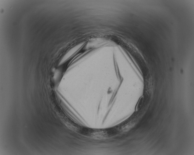 X0000087400505200705181336