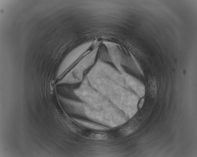 X0000087400506200705181336