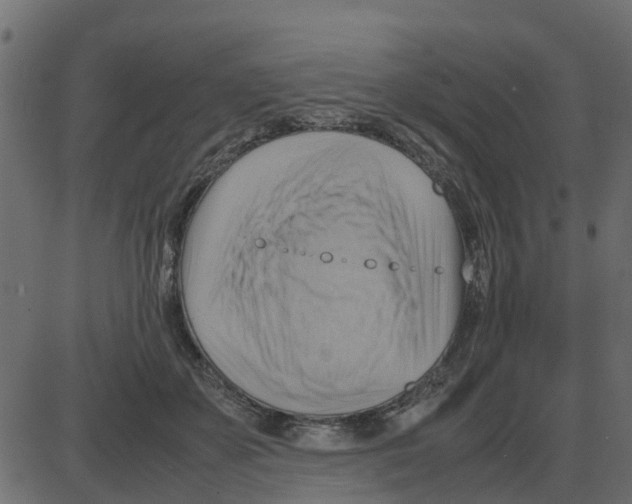 X0000087400507200705181336