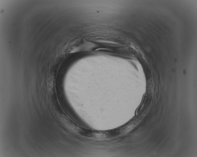 X0000087400509200705181336