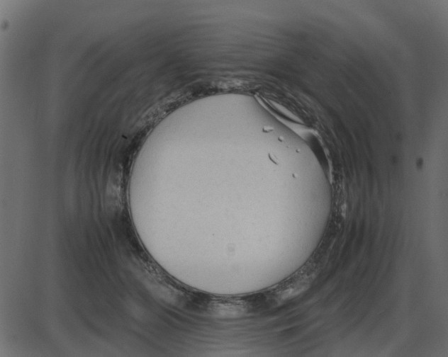 X0000087400510200705181336