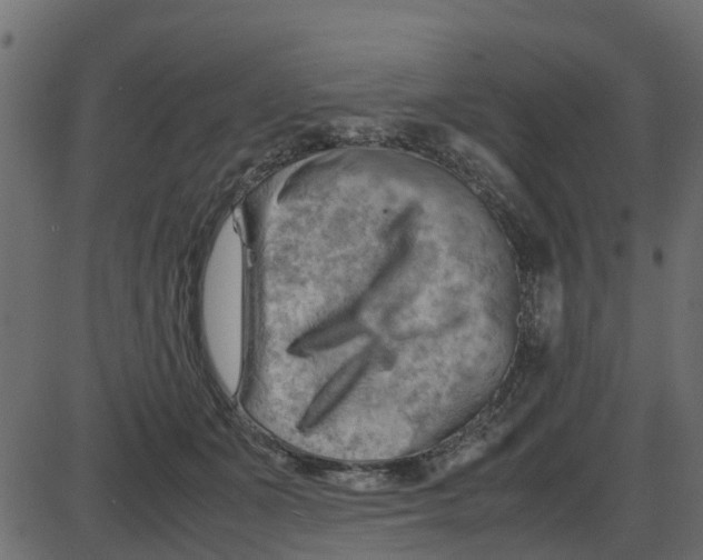 X0000087400511200705181336