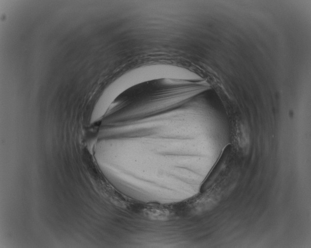 X0000087400512200705181336