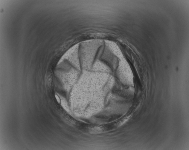 X0000087400513200705181336