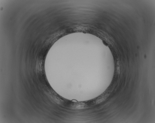 X0000087400514200705181336