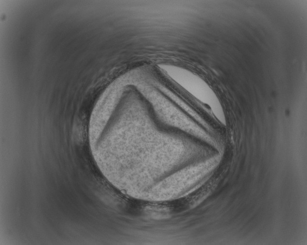 X0000087400515200705181336