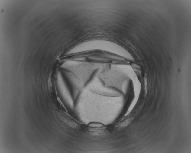 X0000087400516200705181336