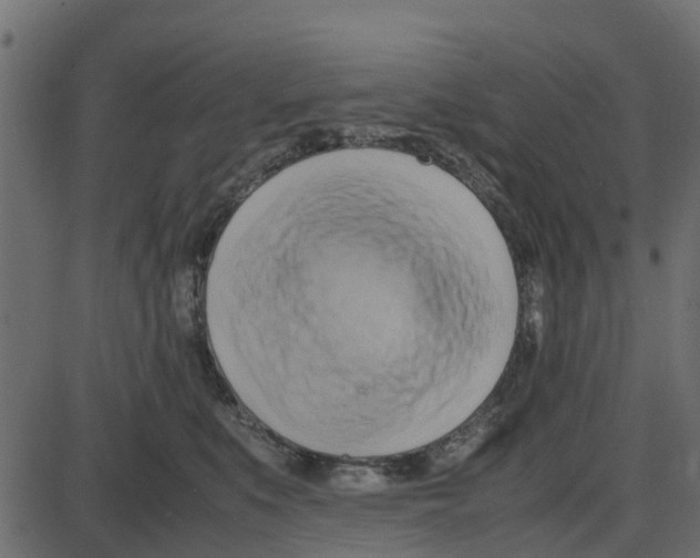 X0000087400519200705181335