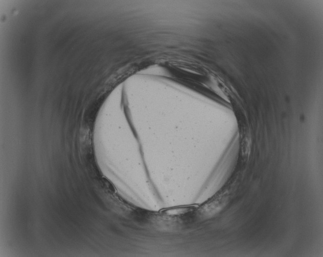 X0000087400521200705181335