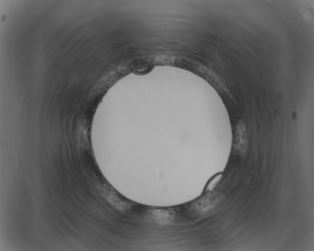 X0000087400522200705181335