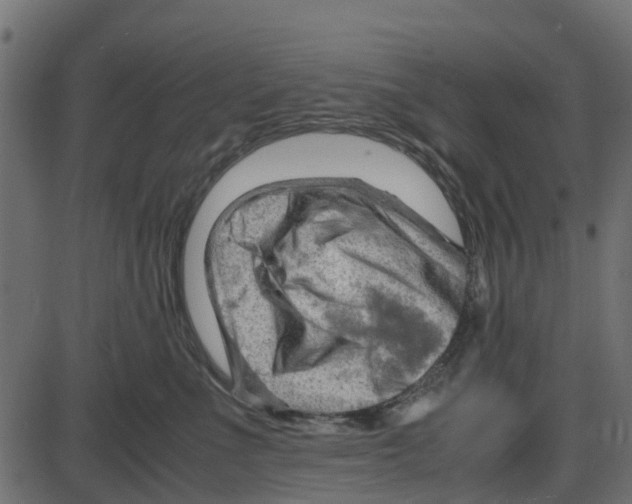 X0000087400523200705181335