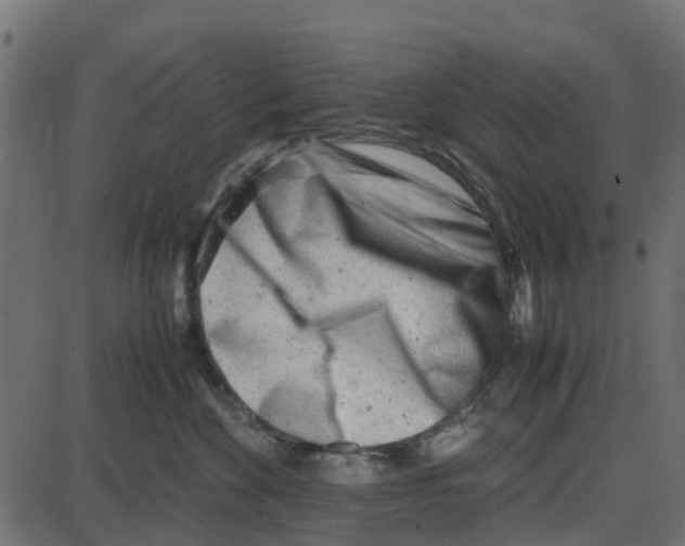 X0000087400524200705181335