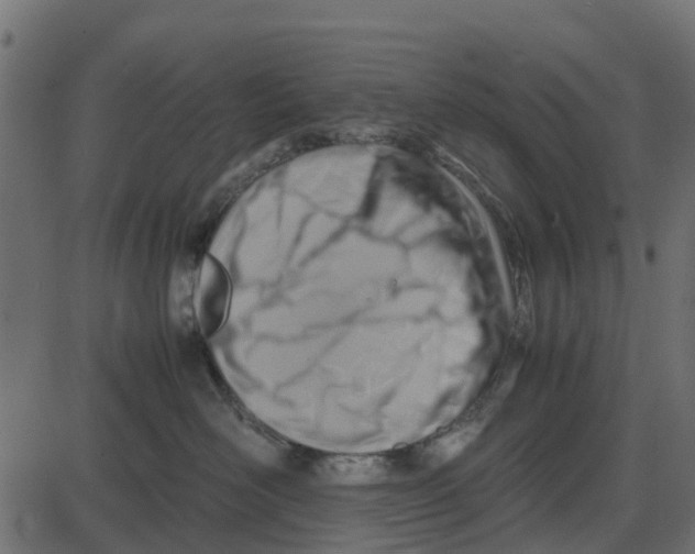 X0000087400526200705181335