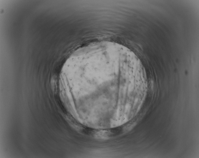 X0000087400527200705181335