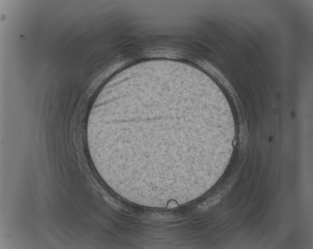 X0000087400529200705181335