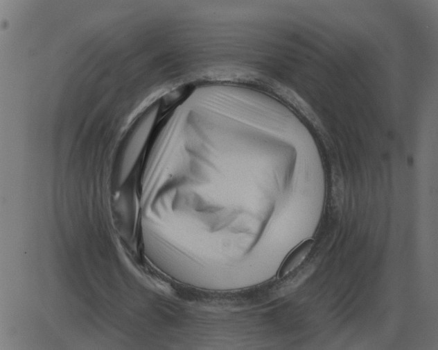 X0000087400530200705181335