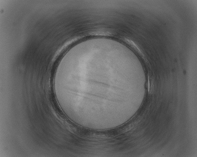 X0000087400531200705181335