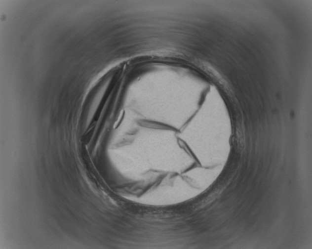 X0000087400532200705181335