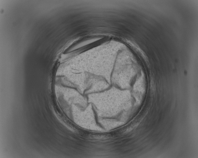 X0000087400533200705181335