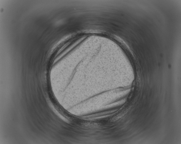 X0000087400535200705181335