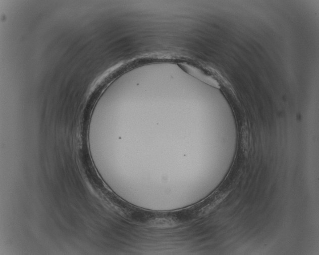 X0000087400536200705181335