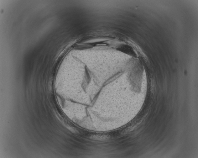 X0000087400537200705181335