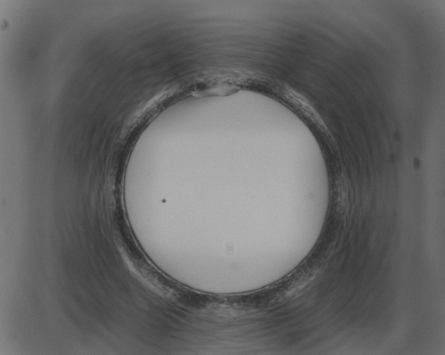 X0000087400538200705181335