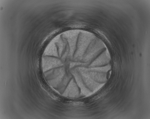 X0000087400539200705181335