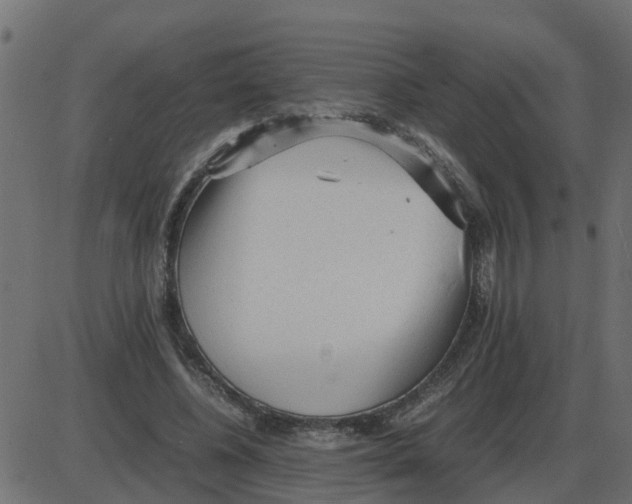 X0000087400540200705181335