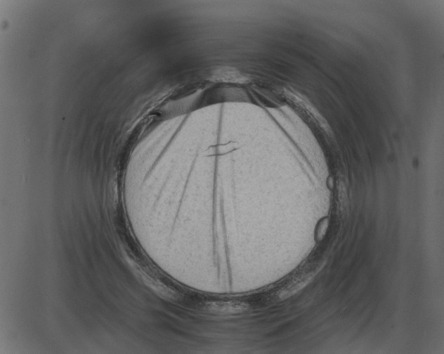 X0000087400541200705181335