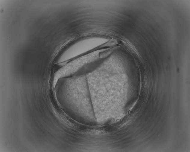 X0000087400542200705181335