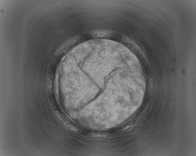 X0000087400545200705181335