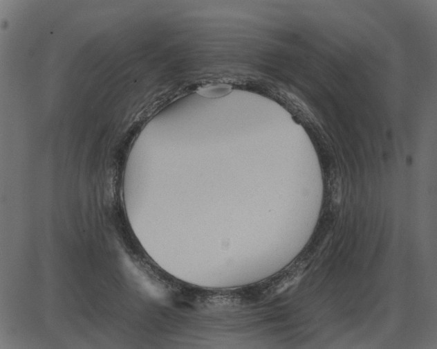 X0000087400546200705181335