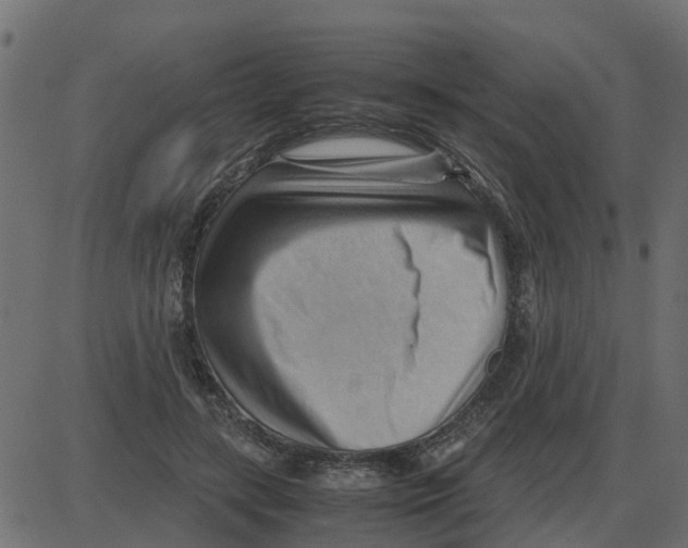 X0000087400547200705181335