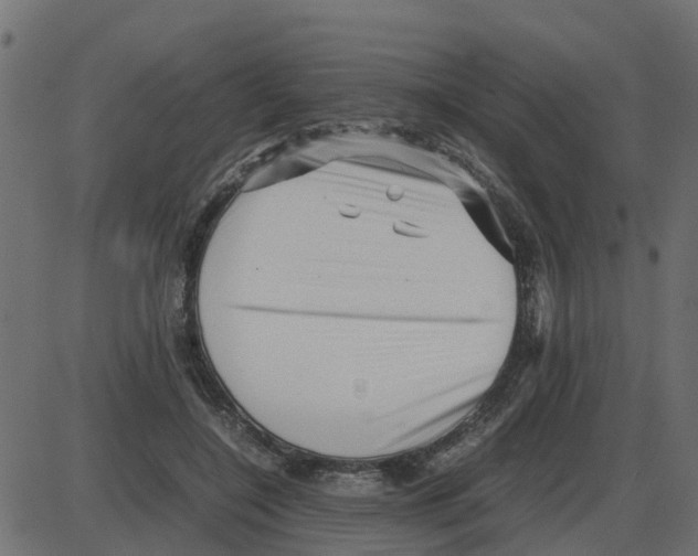 X0000087400548200705181335