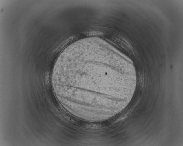 X0000087400549200705181335