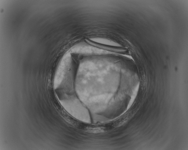 X0000087400553200705181335