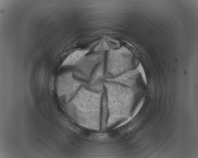 X0000087400554200705181335