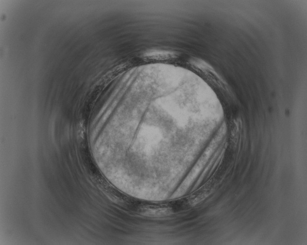 X0000087400555200705181335