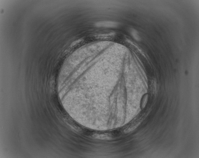 X0000087400557200705181335