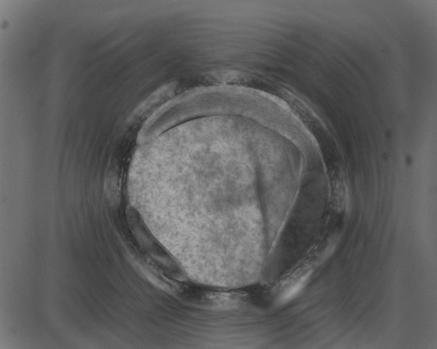 X0000087400558200705181335