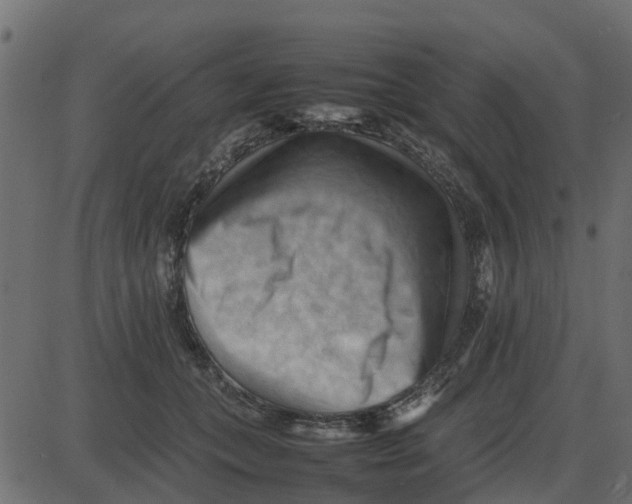 X0000087400559200705181335