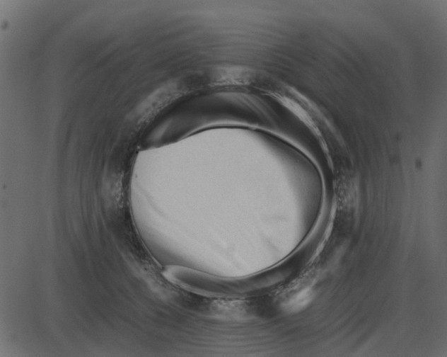 X0000087400560200705181335